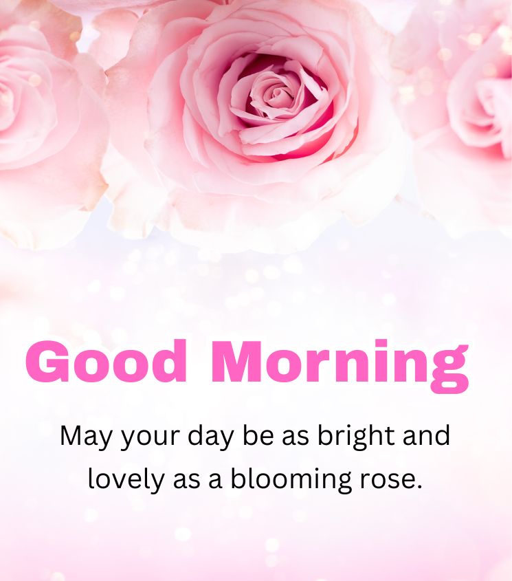 Good Morning Wishes with Pink Rose Flower 