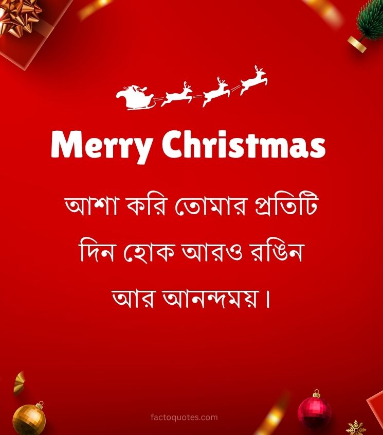 Merry Christmas Greetings in Bengali for Lover