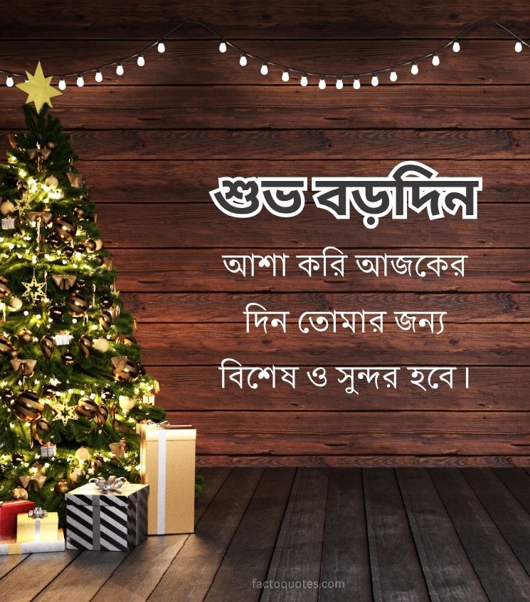 Merry Christmas Wishes in Bengali