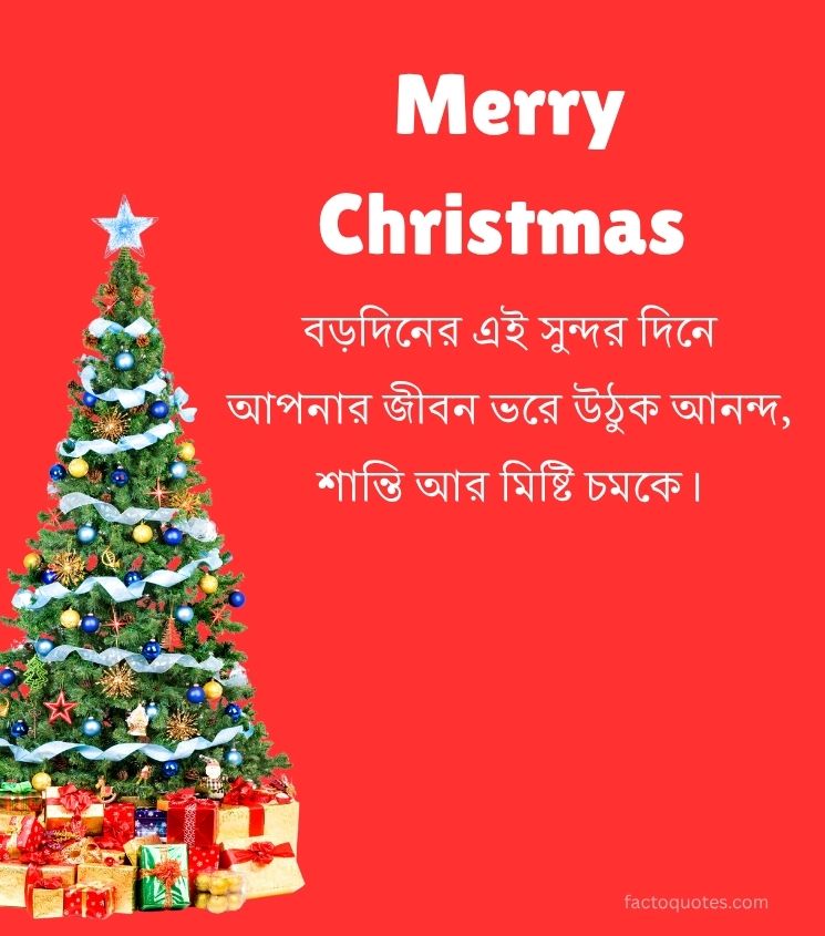 Merry Christmas Greetings in Bengali