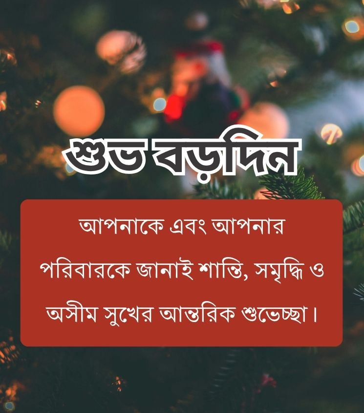 Bengali Status for Merry Christmas Wishes
