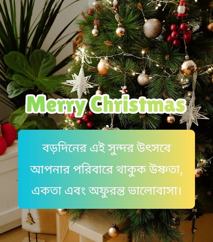 Merry Christmas Status Bengali