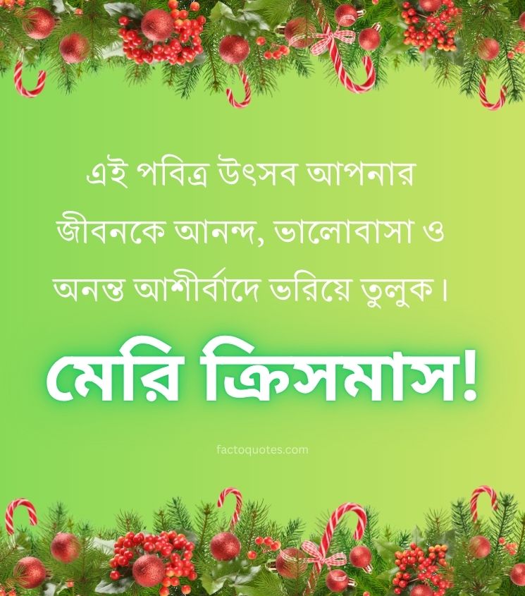 Merry Christmas Greetings in Bengali for Status