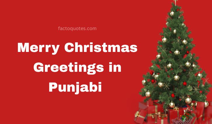 Merry Christmas Wishes in Punjabi