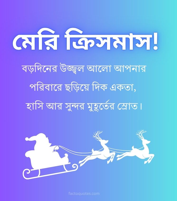 Blessing Merry Christmas Wishes Bengali for Loved Ones