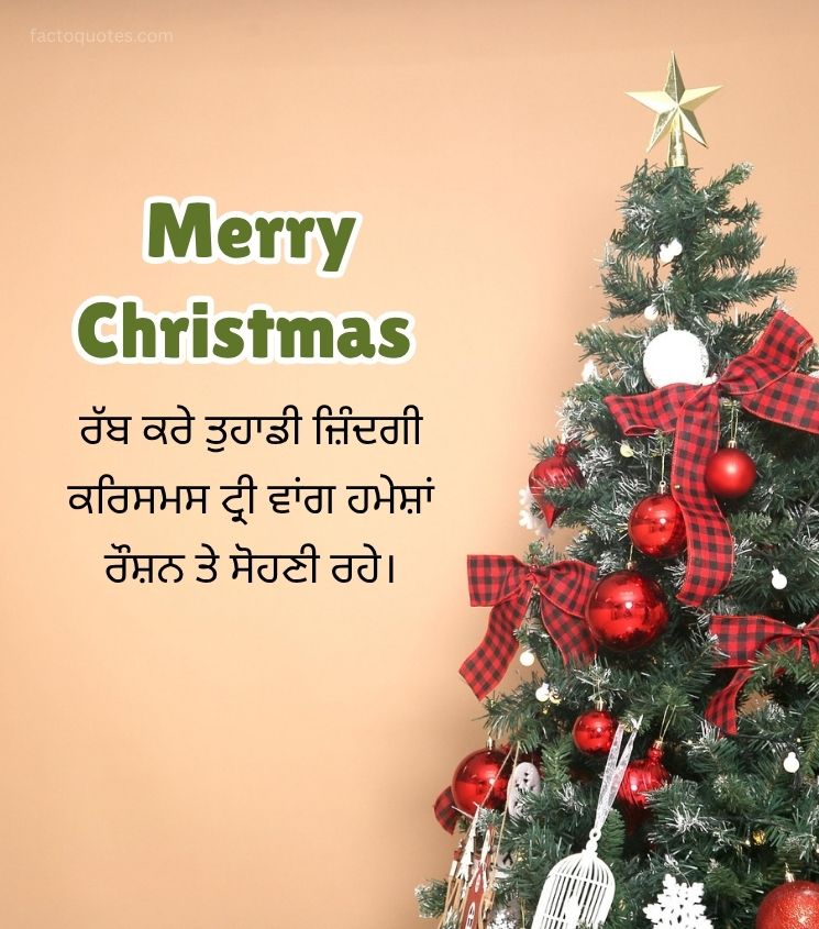 Punjabi Merry Christmas Images for Status