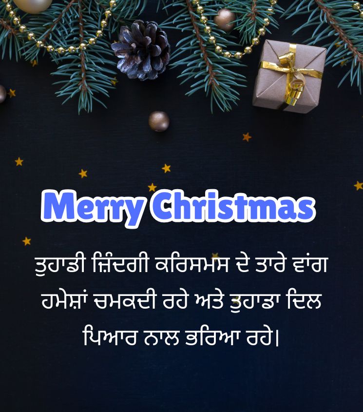 Merry Christmas Quotes in Punjabi