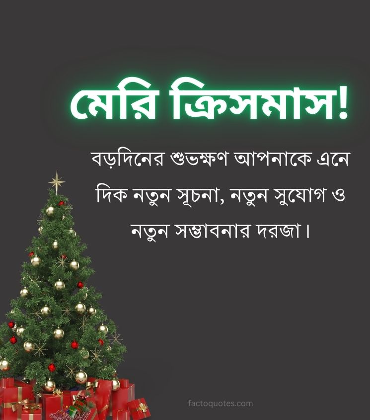 Merry Christmas Status Bengali with Christmas Tree