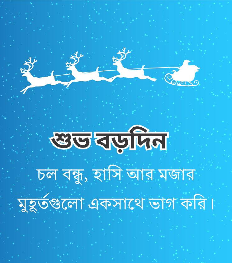 Merry Christmas Wishes in Bengali for Friends