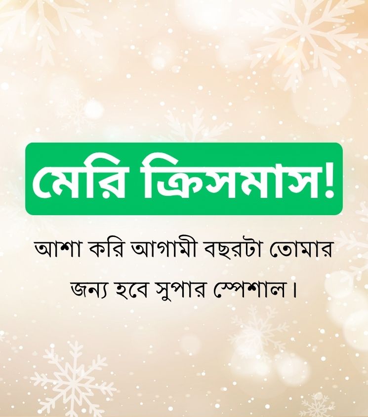 Short 2 Line Merry Christmas Wishes in Bengali