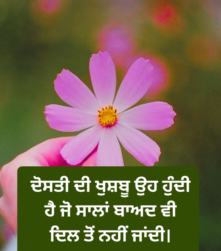 Friendship Love Status Punjabi