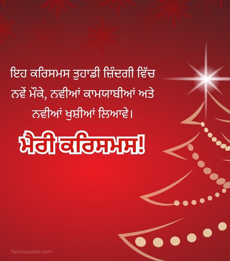 Merry Christmas Wishes in Punjabi