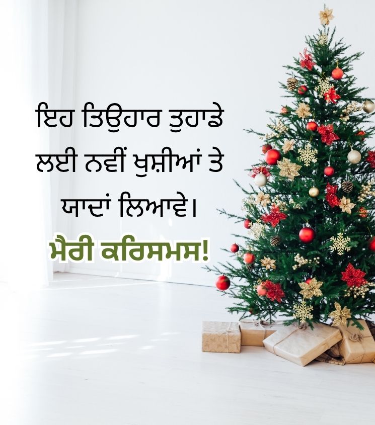 Merry Christmas Quotes in Punjabi with Christmas Tree