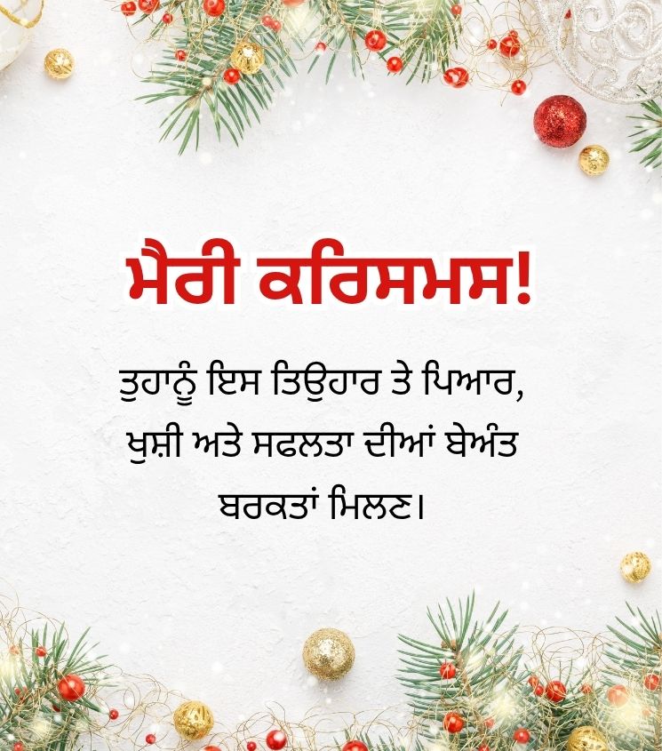 Merry Christmas Wishes Punjabi for Status