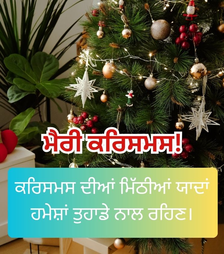 Merry Christmas Wishes in Punjabi
