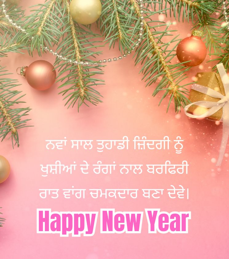 Punjabi New Year Wishes