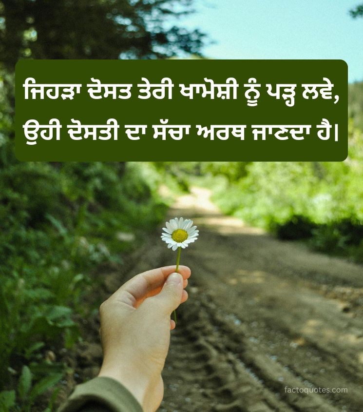 Punjabi Status for Friends