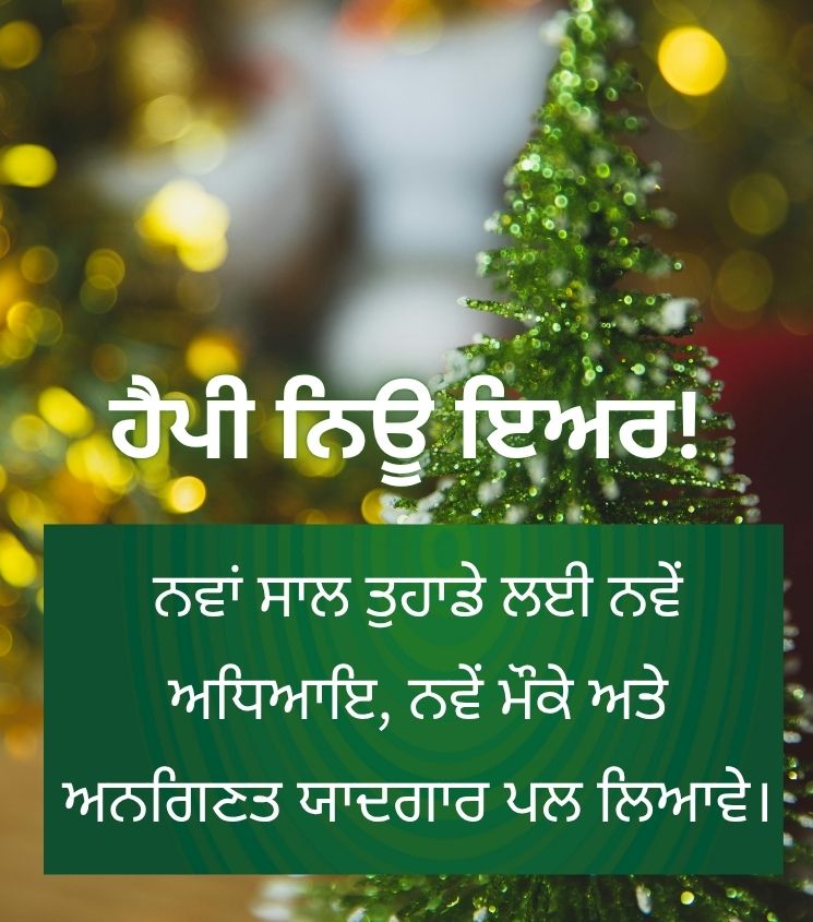 Punjabi New Year Greetings with Inspiring Lines
