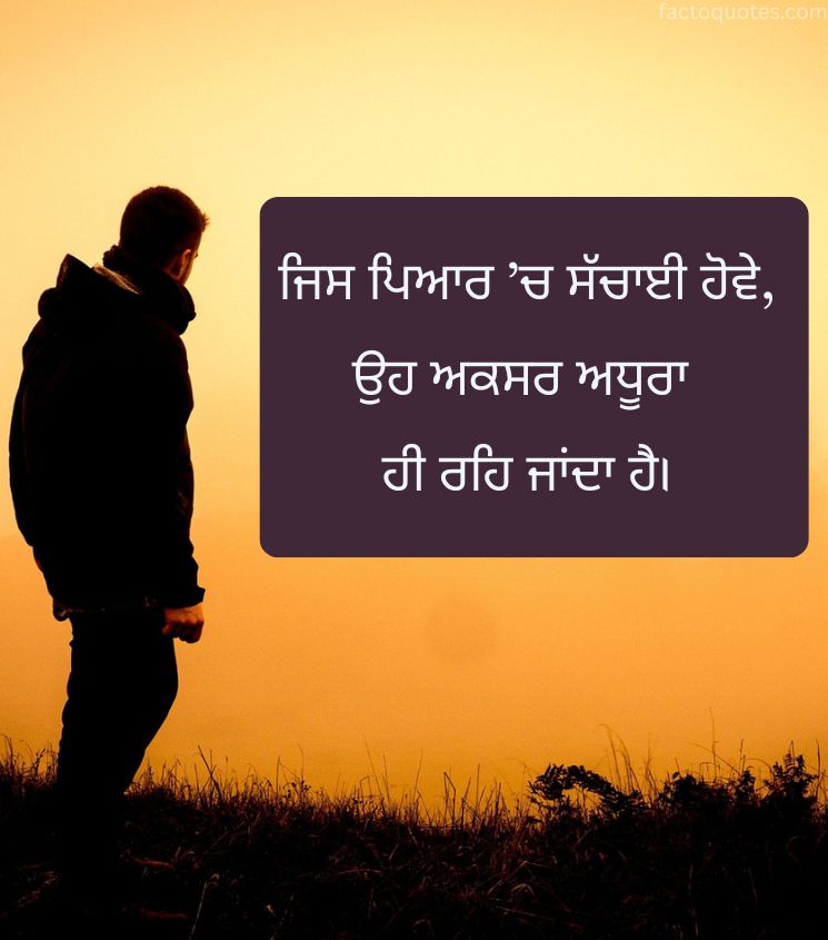 Emotional Sad Quotes in Punjabi for Men