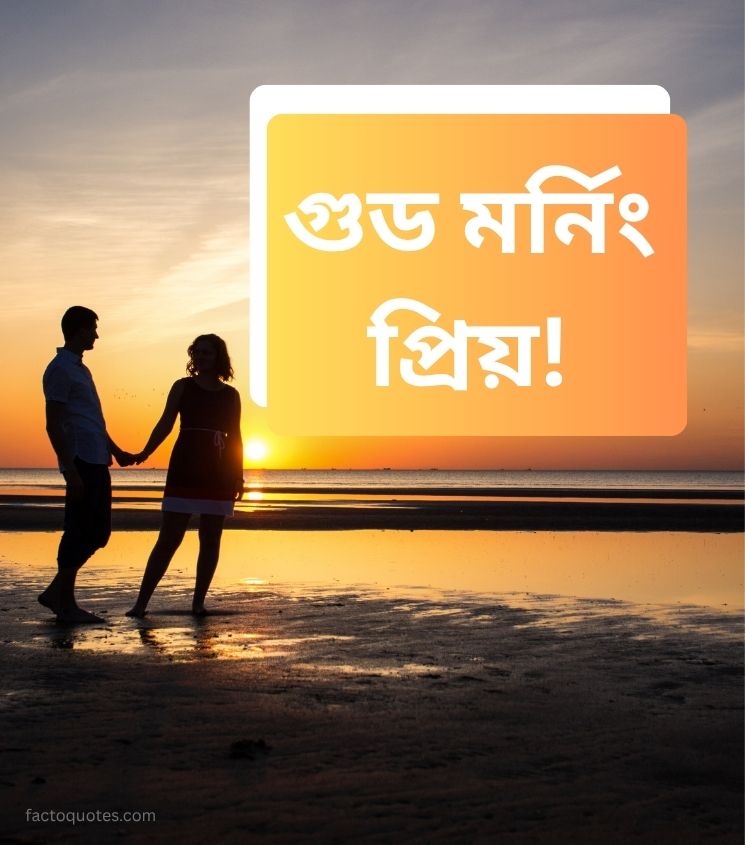 Good Morning Love Wishes Bengali Images with Couple