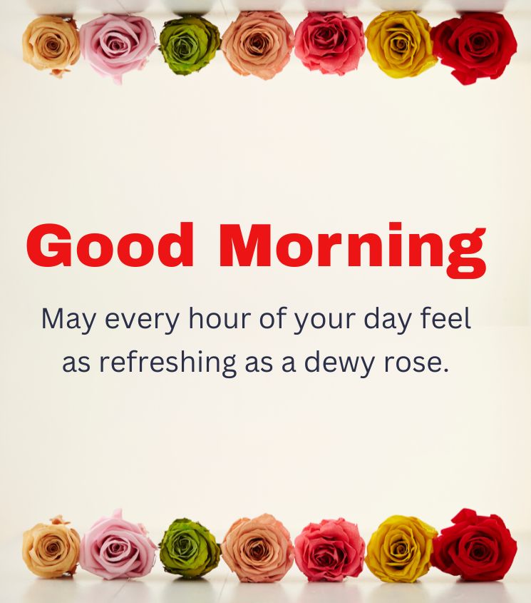Love Good Morning Rose Flower Images