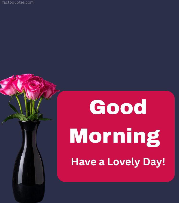 Good morning Rose Images