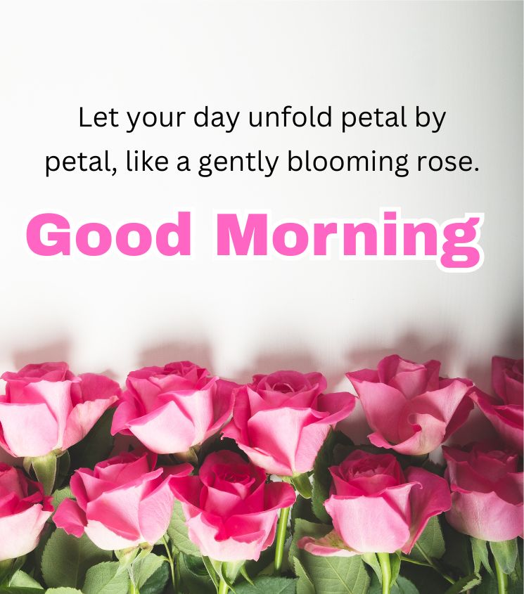 Romantic Good Morning Roses Flower Images