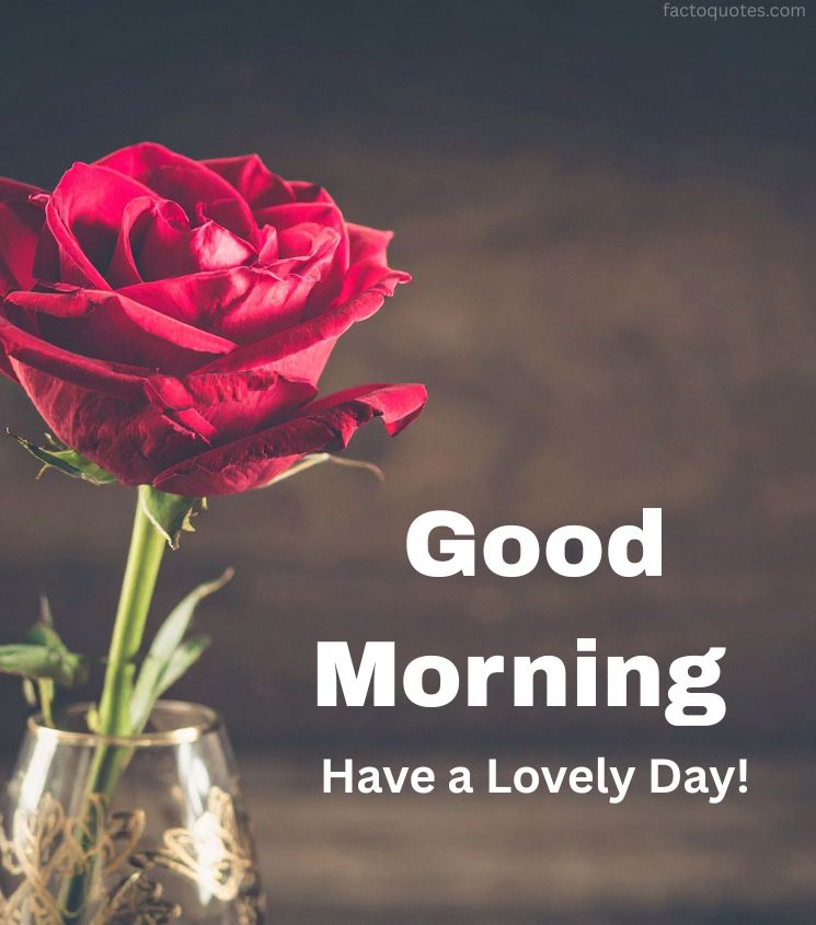 Good morning greetings with Rose Images