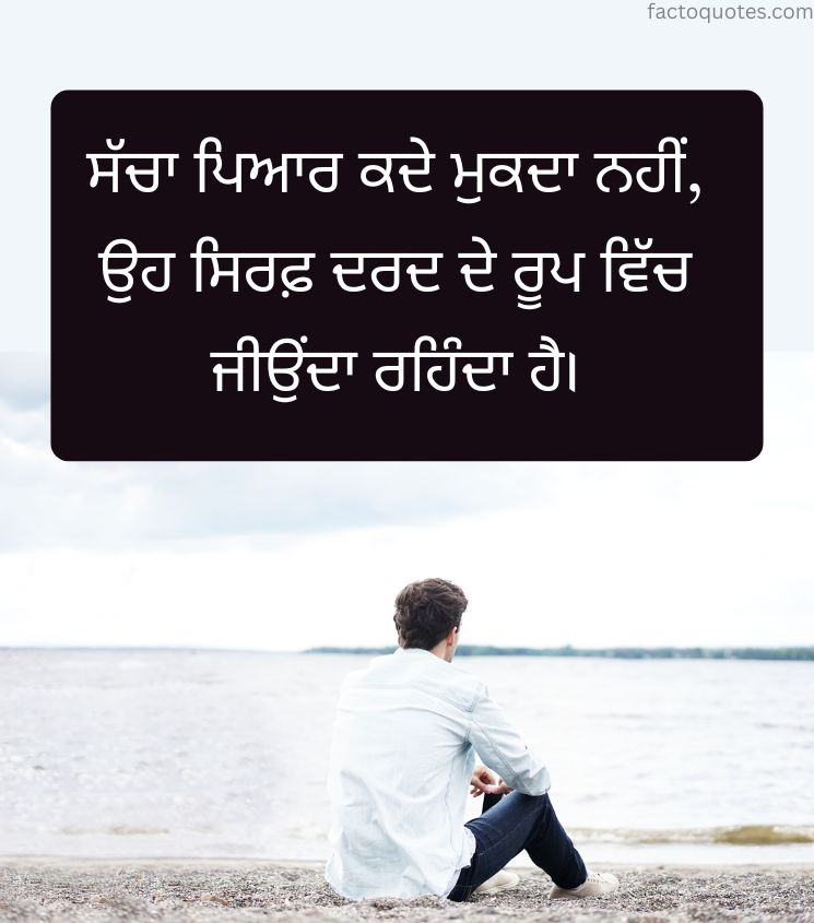 Emotional Sad Quotes in Punjabi for Boys