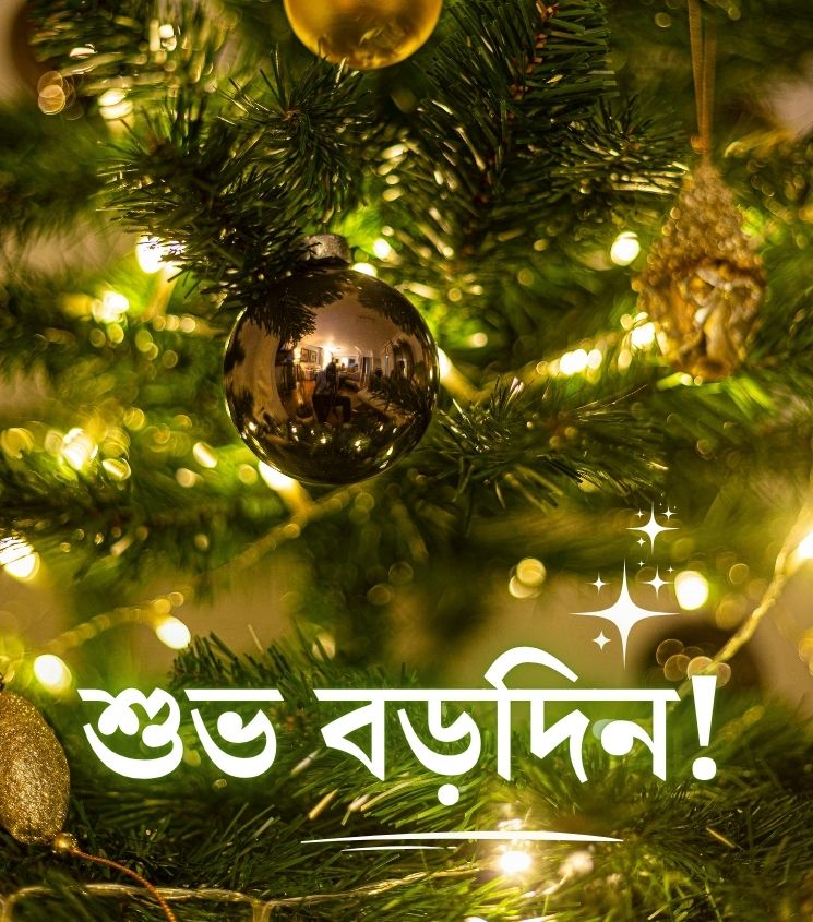 Subho Borodin Pics in Bengali