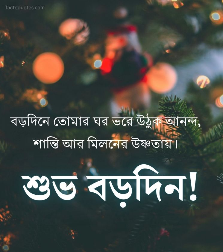 Subho Borodin Wishes for Friends