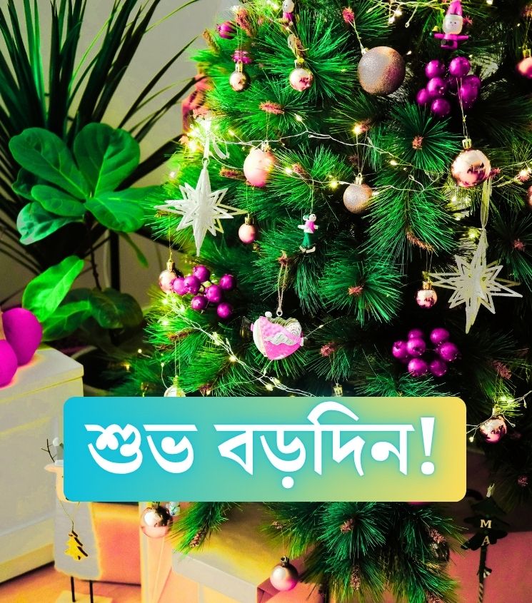 Bengali Subho Borodin Images