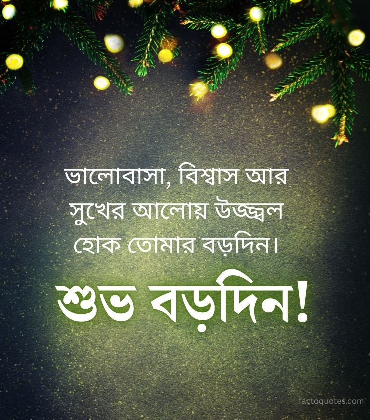 Subho Borodin Quotes in Bangla