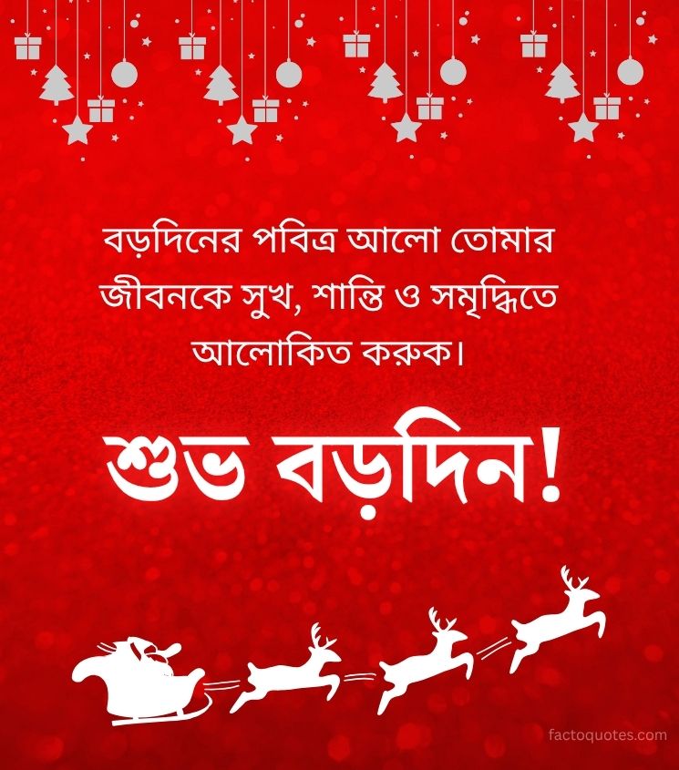 Subho Borodin Wishes Bengali for Status