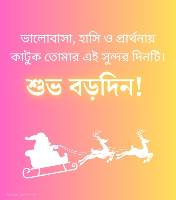 Subho Borodin Wishes for Status