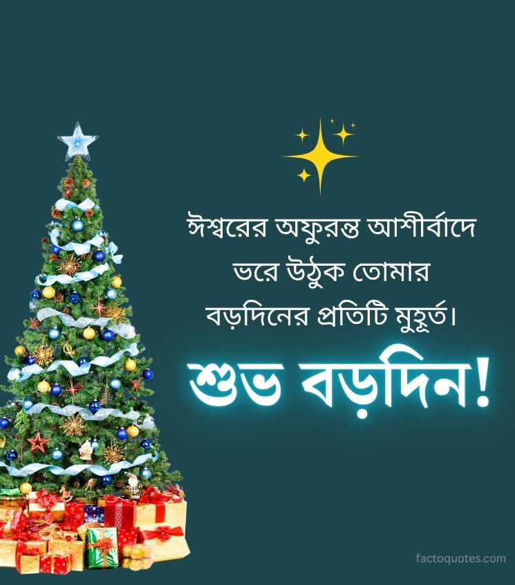 Subho Borodin Wishes Bengali with Christmas Tree