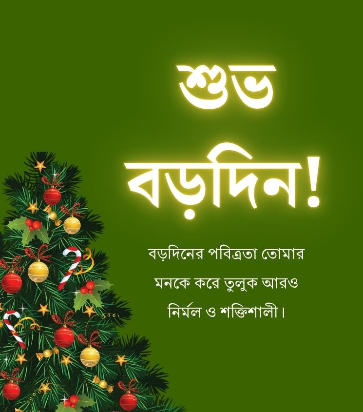 Subho Borodin Images Bangla