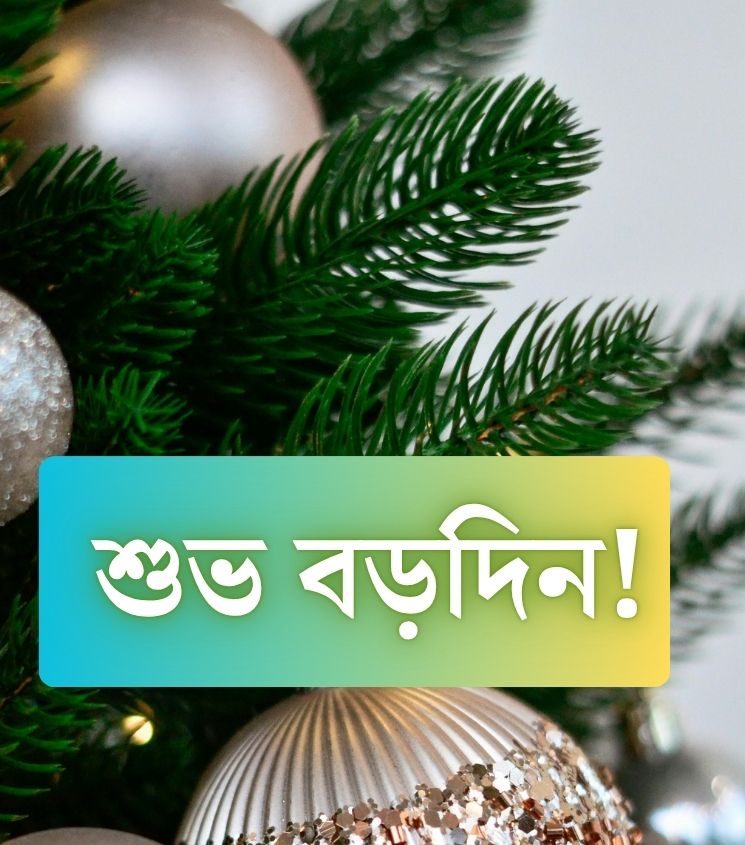 Subho Borodin Pics with Christmas Tree 