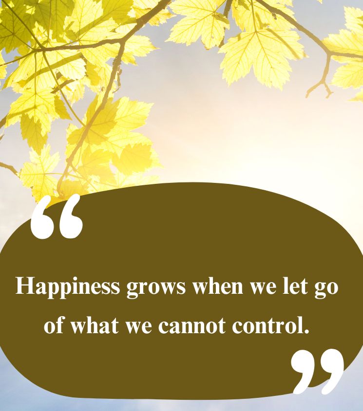 Happiness Quotes