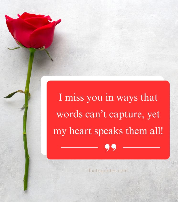 Long Distance Love Quotes for Lover