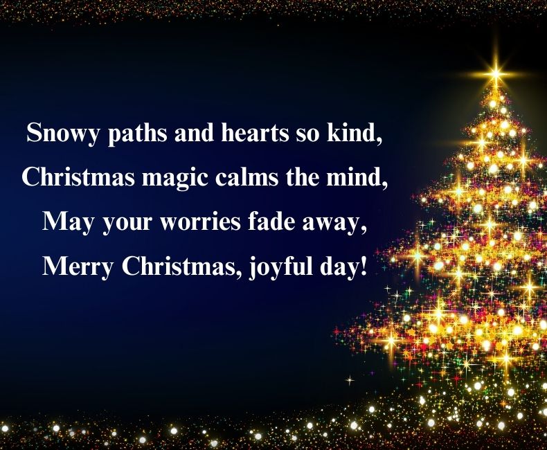  Merry Christmas Shayari in English