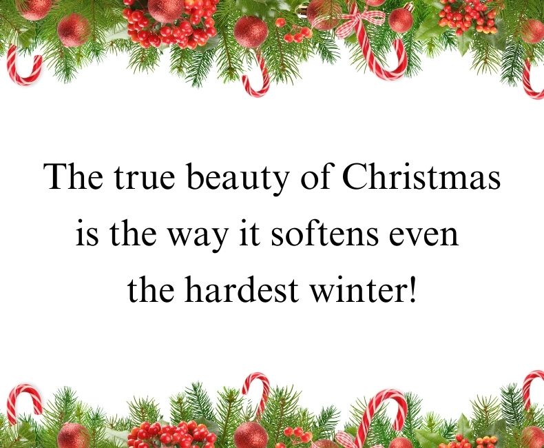 Merry Christmas Quotes 