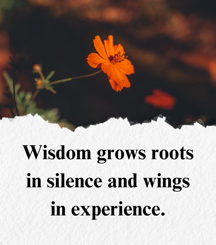 Wisdom Quotes
