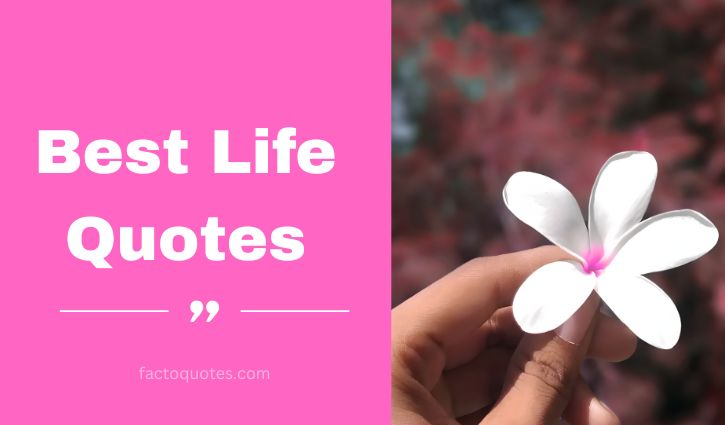 Quotes on Life
