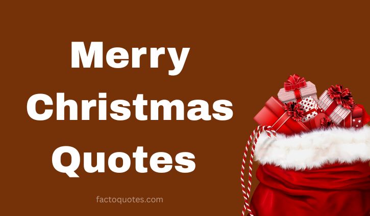 Merry Christmas Quotes