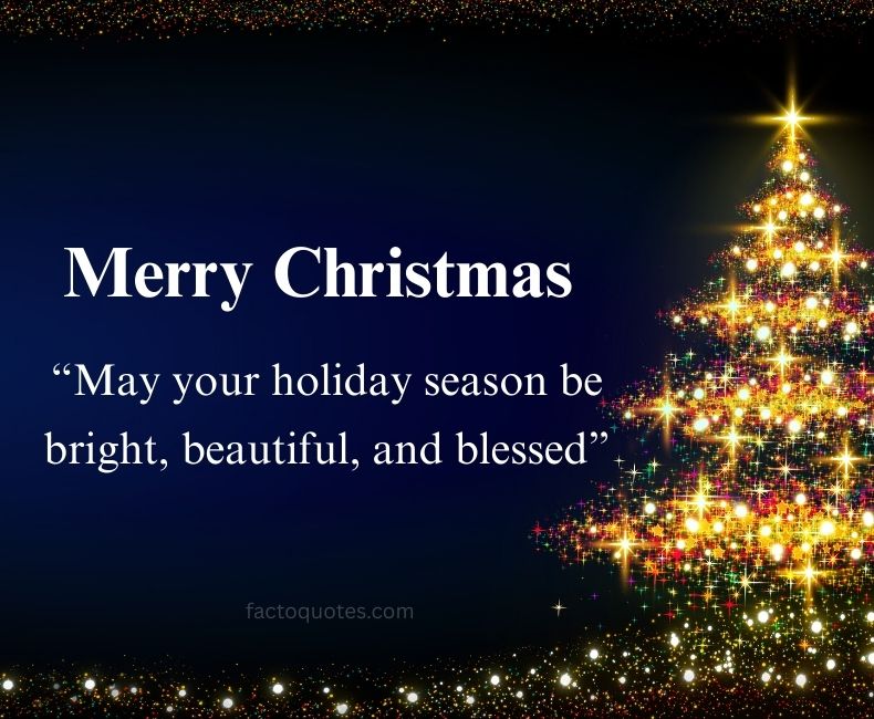Merry Christmas Quotes Pictures for Status