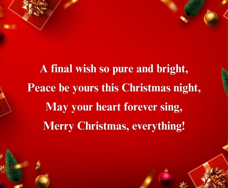 Christmas Shayari English for Status