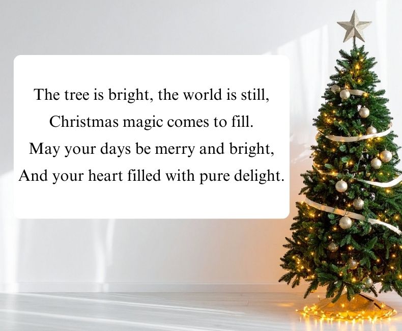 Christmas Shayari English with Christmas Tree