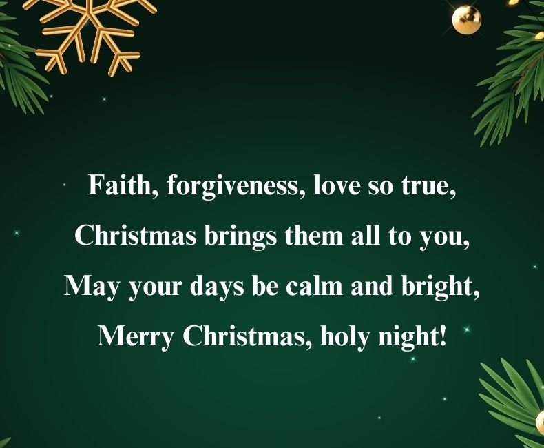 Best Merry Christmas Shayari in English