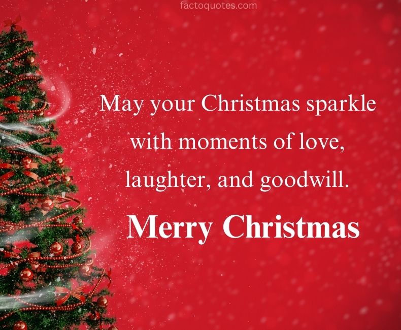 Merry Christmas Quotes